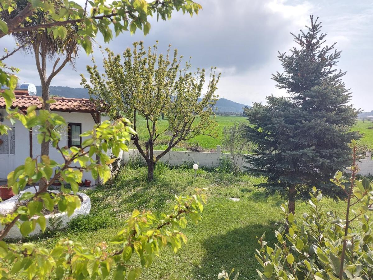 Betahomes- Summer Фурка Екстер'єр фото